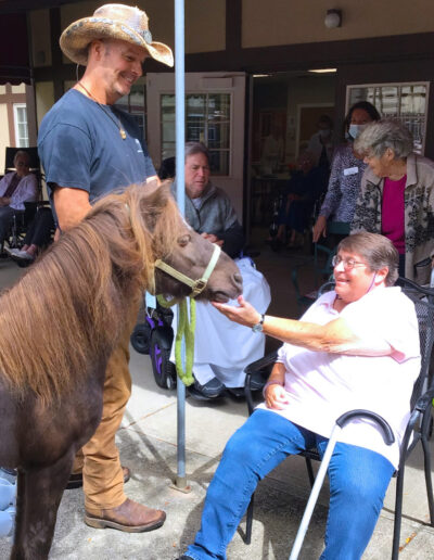 Equine animal assisted therapy Sippican Healthcare Center Marion Massachusetts