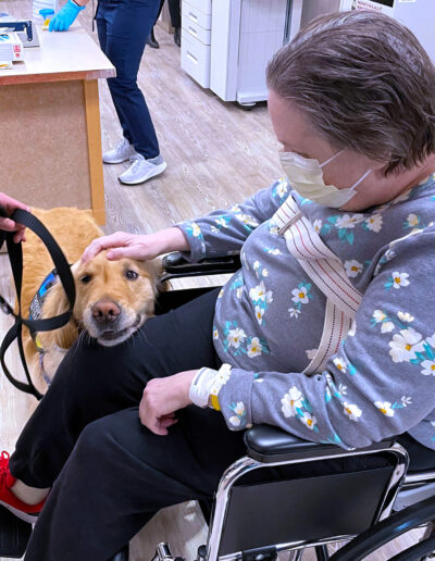 Therapy dog Jax animal assisted therapy Whittier Rehabilitation Hospital Bradford Massachusetts