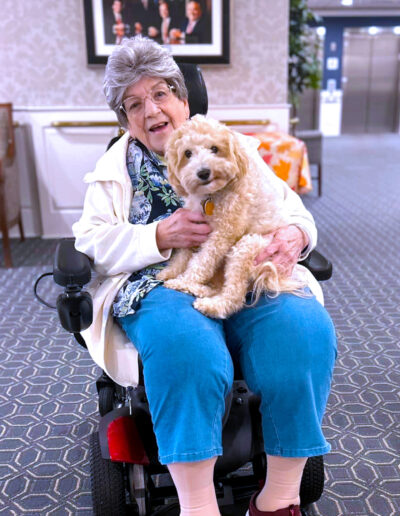 Therapy dog animal assisted therapy Port Healthcare Center Newburyport Massachusetts