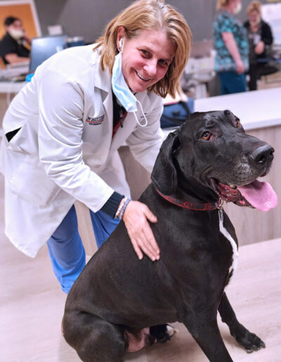 Therapy dog animal assisted therapy Whittier Rehabilitation Hospital Westborough Massachusetts