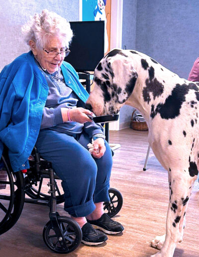 Therapy dogs animal assisted therapy Port Healthcare Center Newburyport Massachusetts