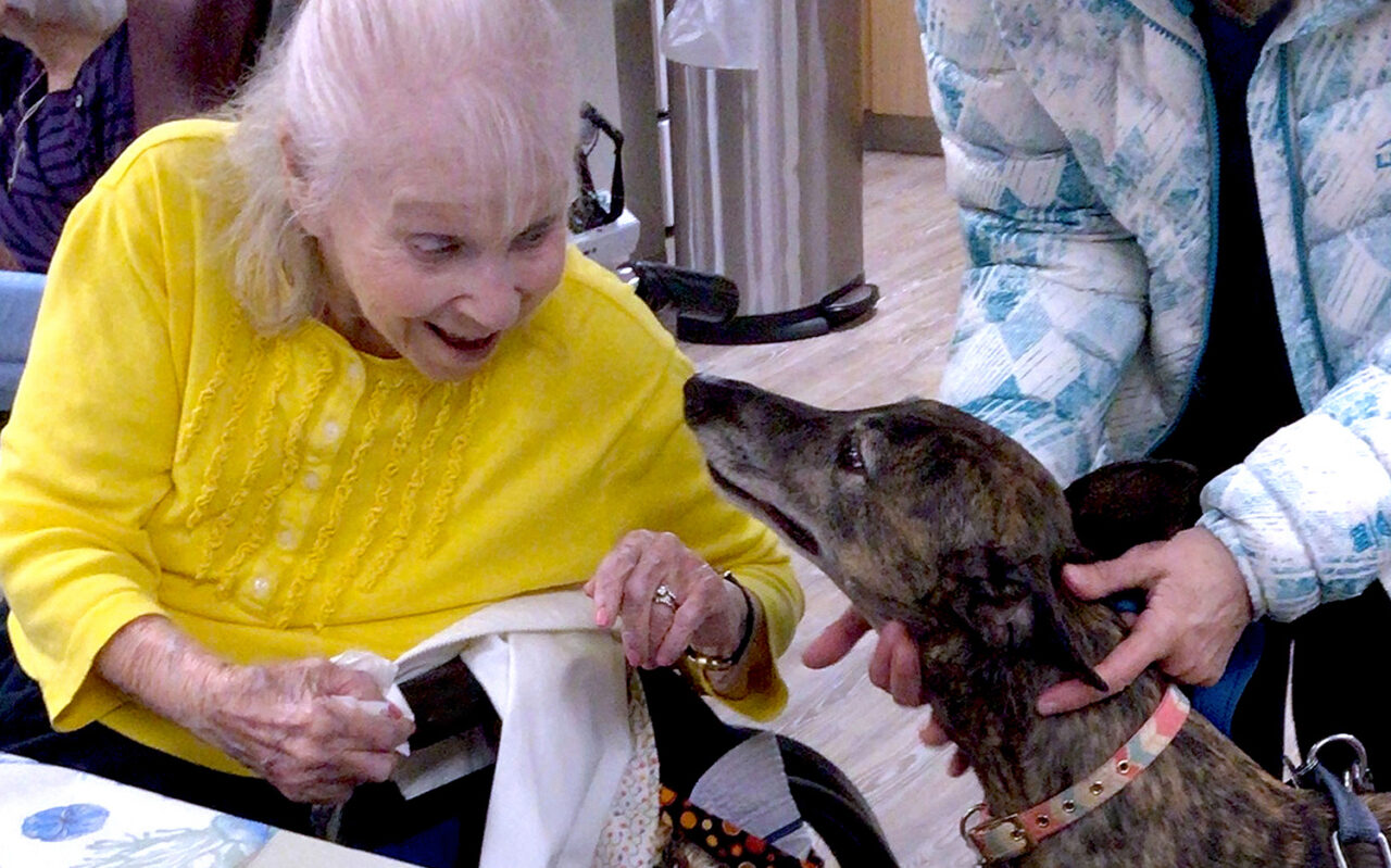 therapy dogs animal assisted therapy at our hospitals and skilled nursing facilities Whittier Health Network Haverhill Massachusetts